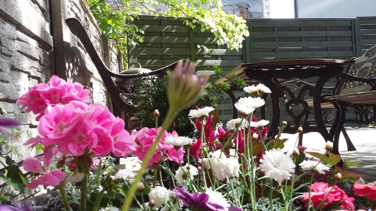 Apartamenty Krzywe Okna Zielona Góra Dış mekan fotoğraf